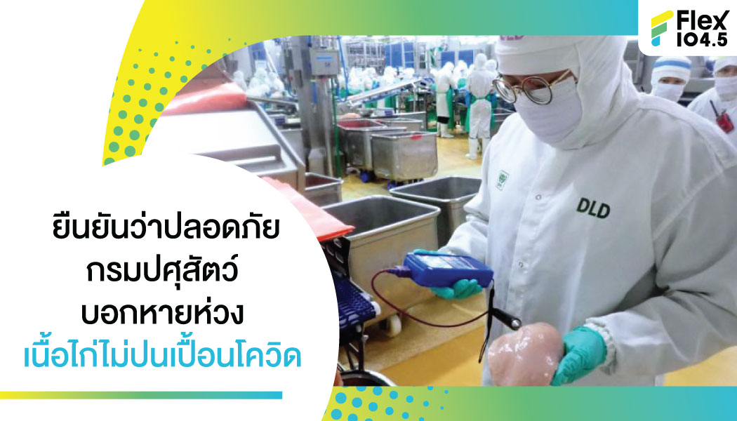 กรมปศุสัตว์ชี้ หายห่วง เนื้อไก่ปลอดภัยไม่ปนเปื้อนโควิด !!!