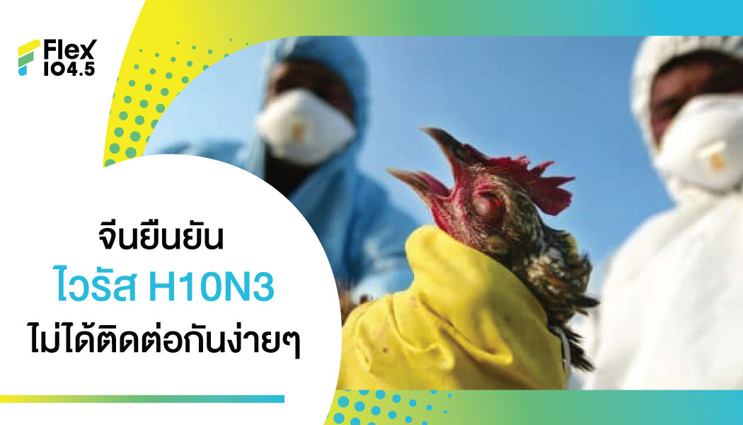 จีน รายงานมนุษย์ป่วยไข้หวัดนก H10N3 ครั้งแรก! เชื่อติดต่อคนสู่คนไม่ง่าย