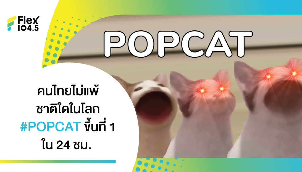 ไทยที่หนึ่งของโลก! #POPCAT พุ่งติดเทรนด์ หลังชาวเน็ตไทยรัวคลิกเกมแมวอ้าปากชนะทุกชาติ