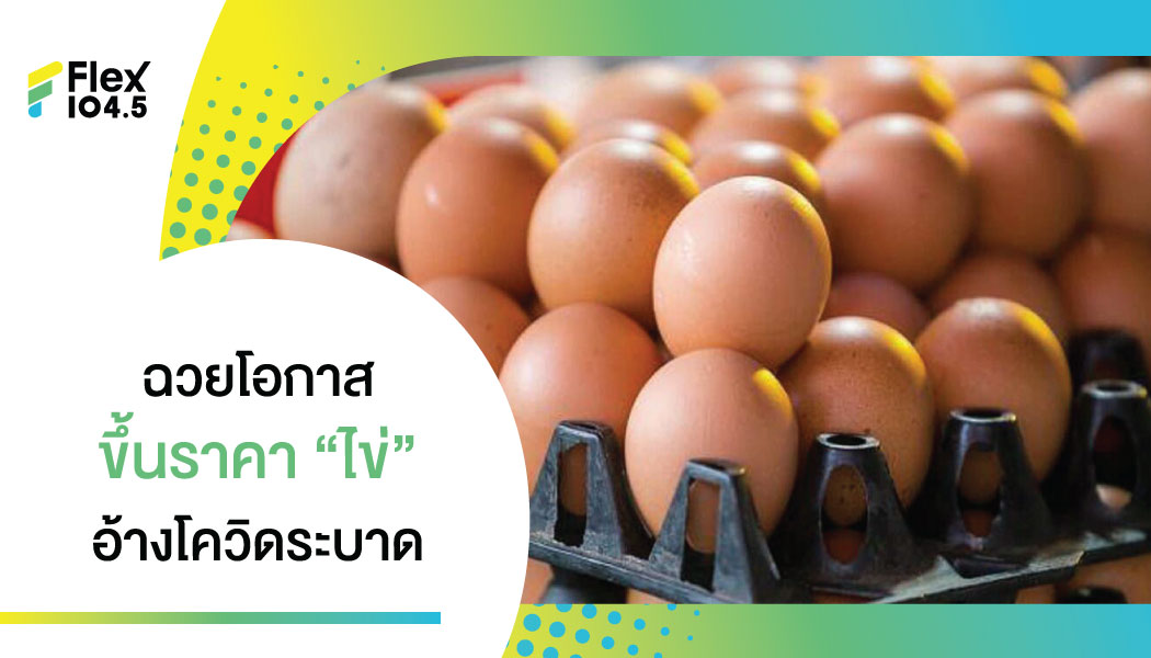 ไข่ราคาพุ่ง! พ่อค้าแม่ค้า ฉวยโอกาส ขึ้นราคาไข่ไก่ อ้าง ‘โควิด’ ระบาด