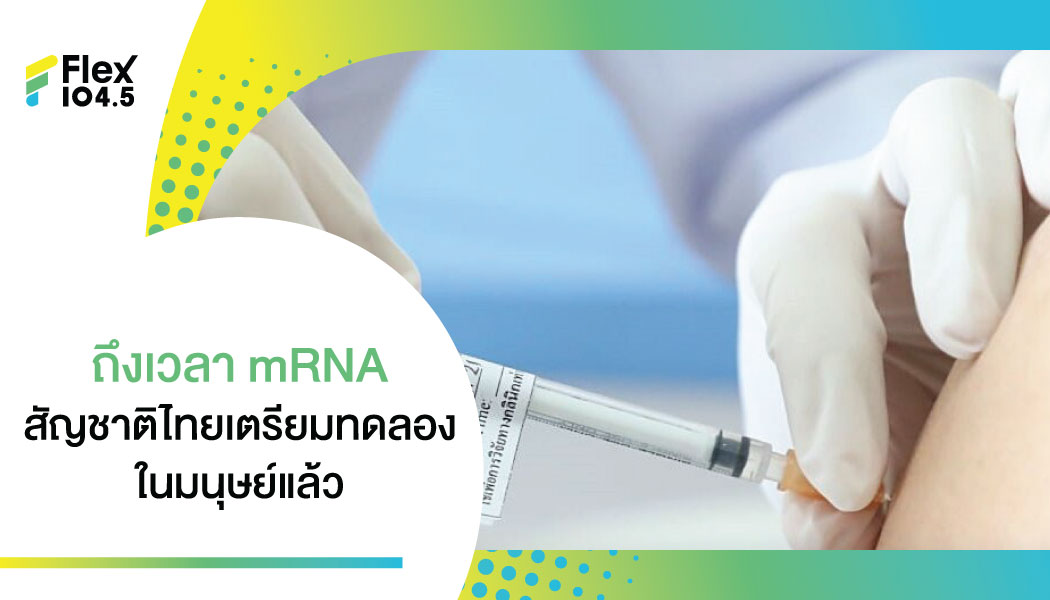 ChulaCov19 mRNA vaccine