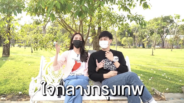 ต้น เฟิร์น