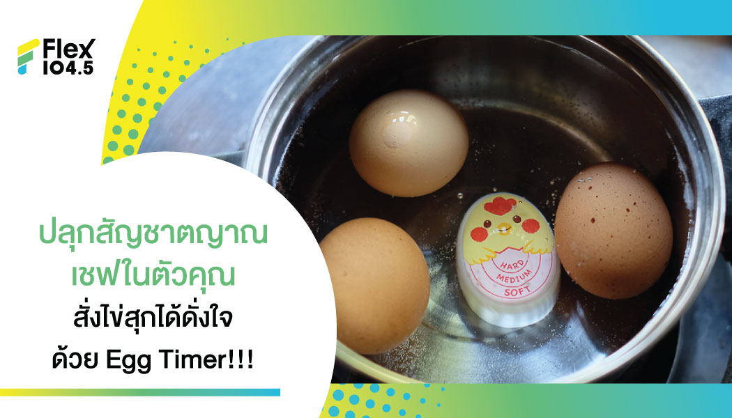 EGG TIMER